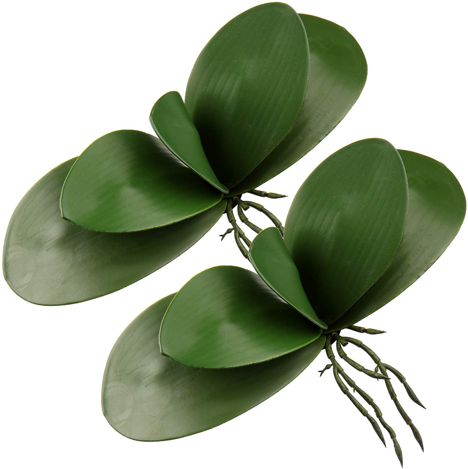 Orchid Phalaenopsis - Daun Phalaenopsis buatan tanaman sentuh lateks