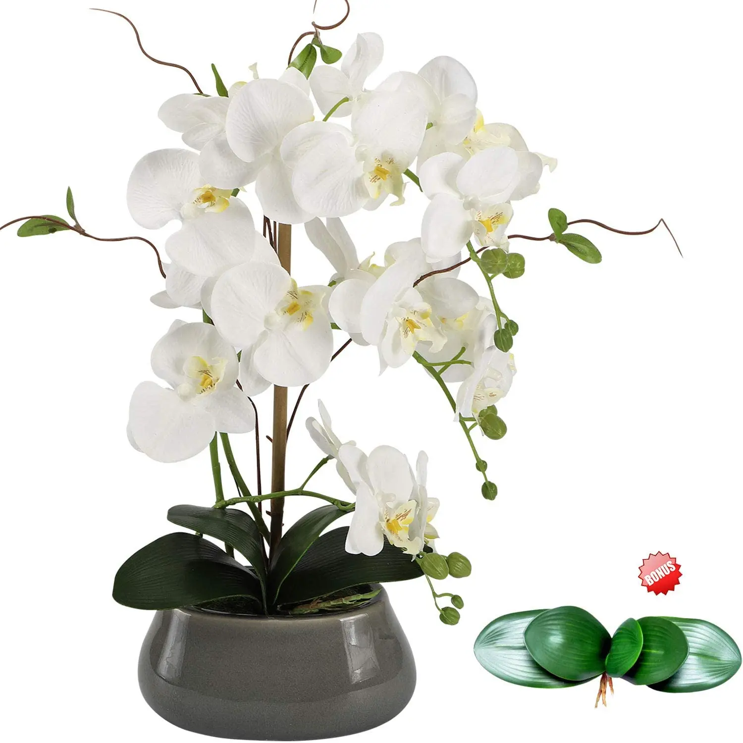 Orchid Phalaenopsis - Bunga anggrek buatan hiasan Tengah Meja