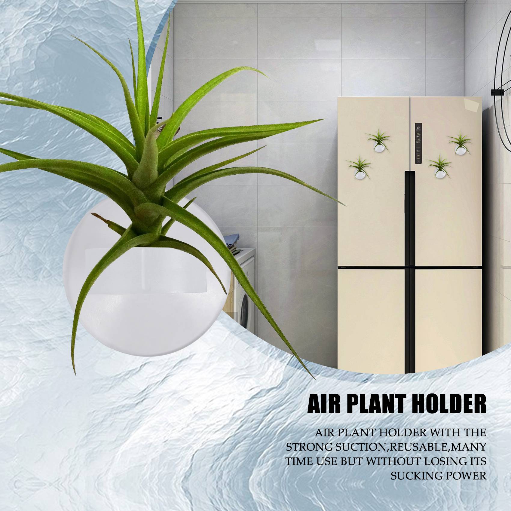Air Plant Tillandsia - AC76-20 Buah Tempat Tanaman Udara, Pot