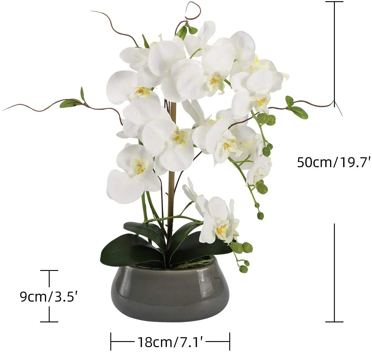 Bunga anggrek buatan hiasan Te - Orchid Phalaenopsis ulasan dan harga