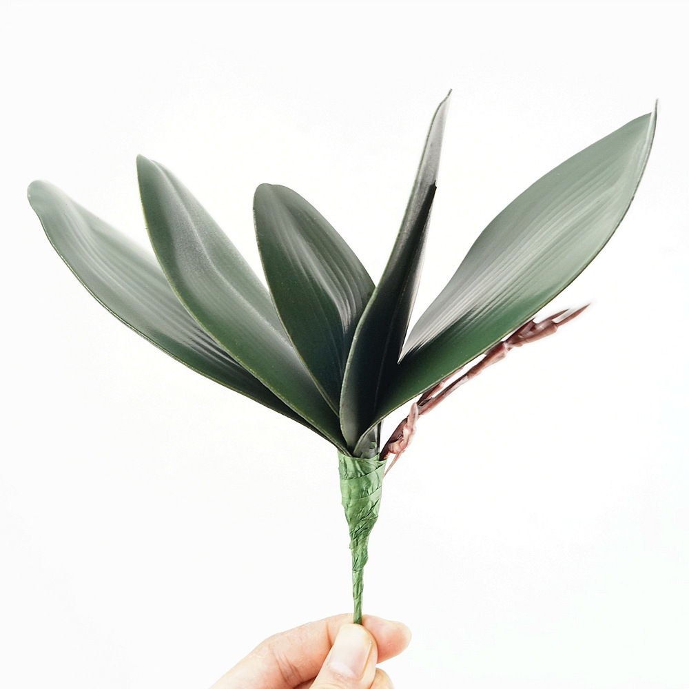 3 Buah Eva Simulasi Daun Phala - Orchid Phalaenopsis ulasan dan harga