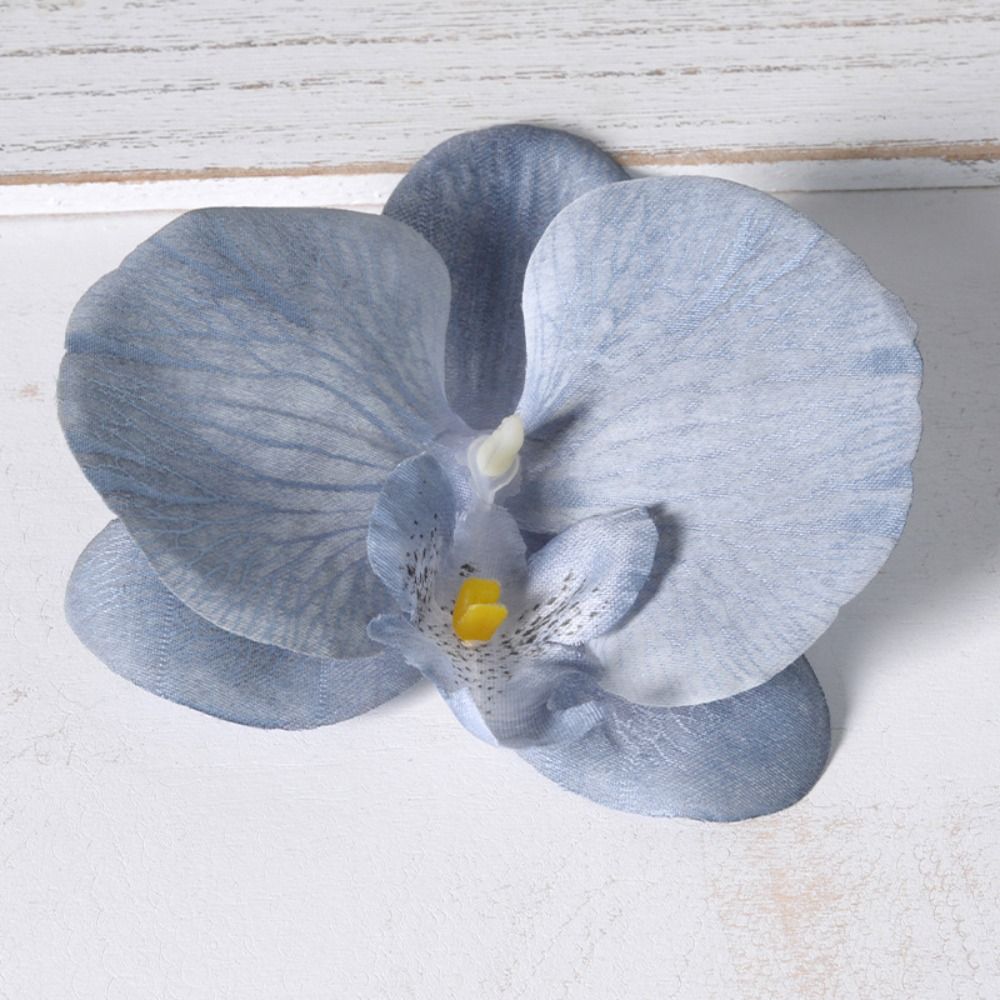 Kepala Bunga Phalaenopsis DIY  - Orchid Phalaenopsis ulasan dan harga