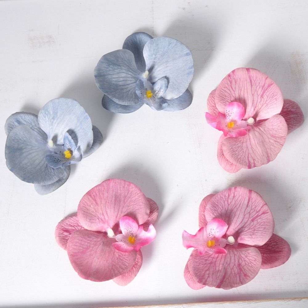 Kepala Bunga Phalaenopsis DIY  - Orchid Phalaenopsis ulasan dan harga