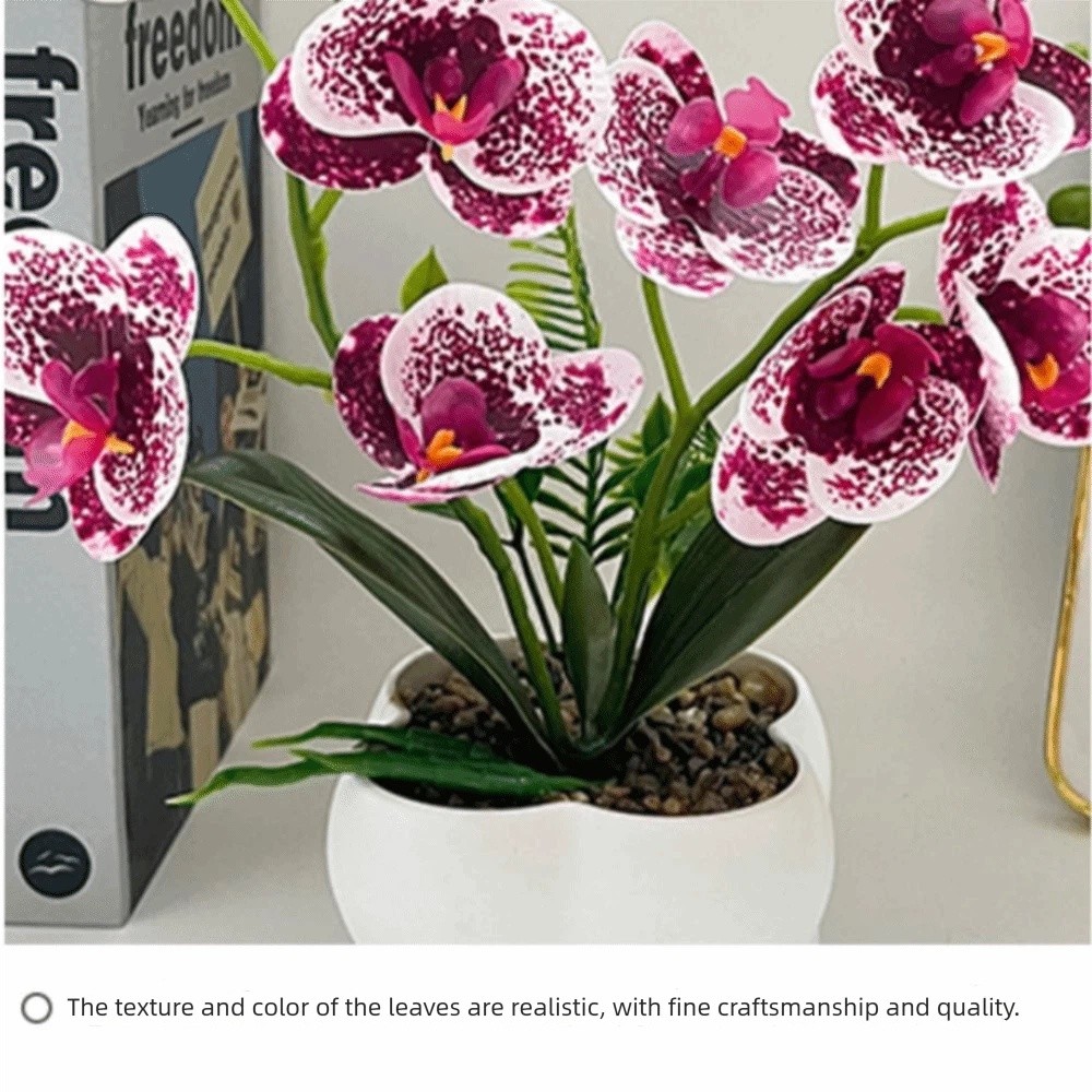 Anggrek Kupu-kupu Simulasi Mul - Orchid Phalaenopsis ulasan dan harga