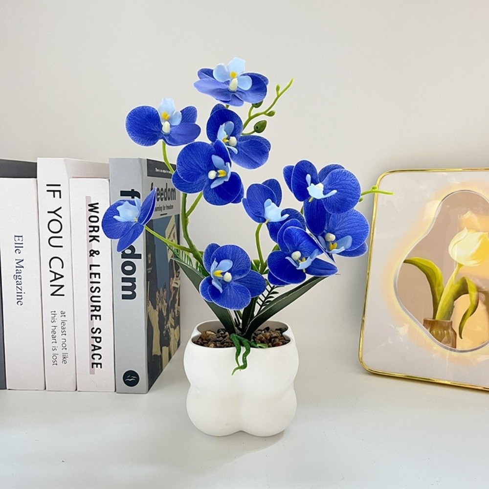 Anggrek Kupu-kupu Simulasi Mul - Orchid Phalaenopsis ulasan dan harga