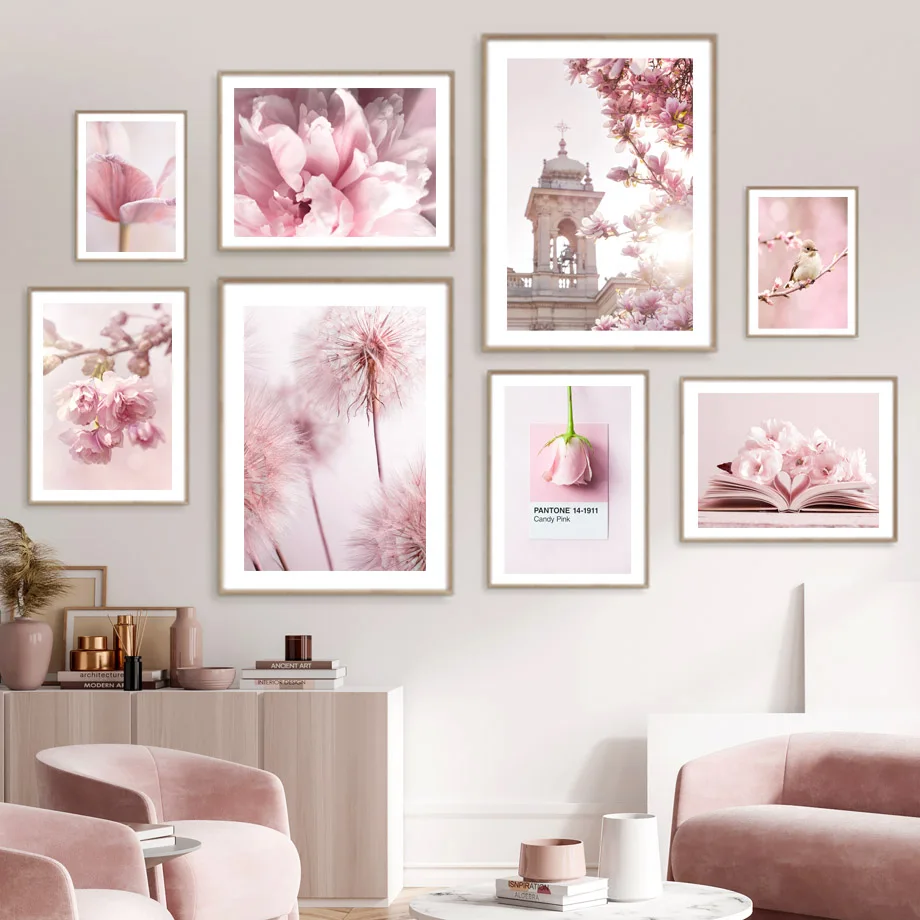 Musim Semi Mawar Merah Muda Pe - Orchid Phalaenopsis ulasan dan harga