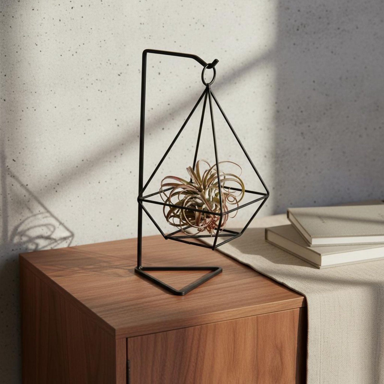 Tempat Tanaman Udara Geometris - Air Plant Tillandsia ulasan dan harga